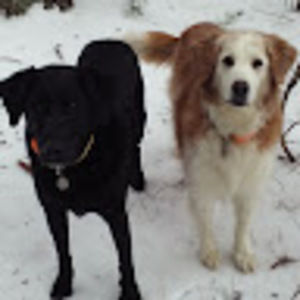 Meet your Posher, Madalynn